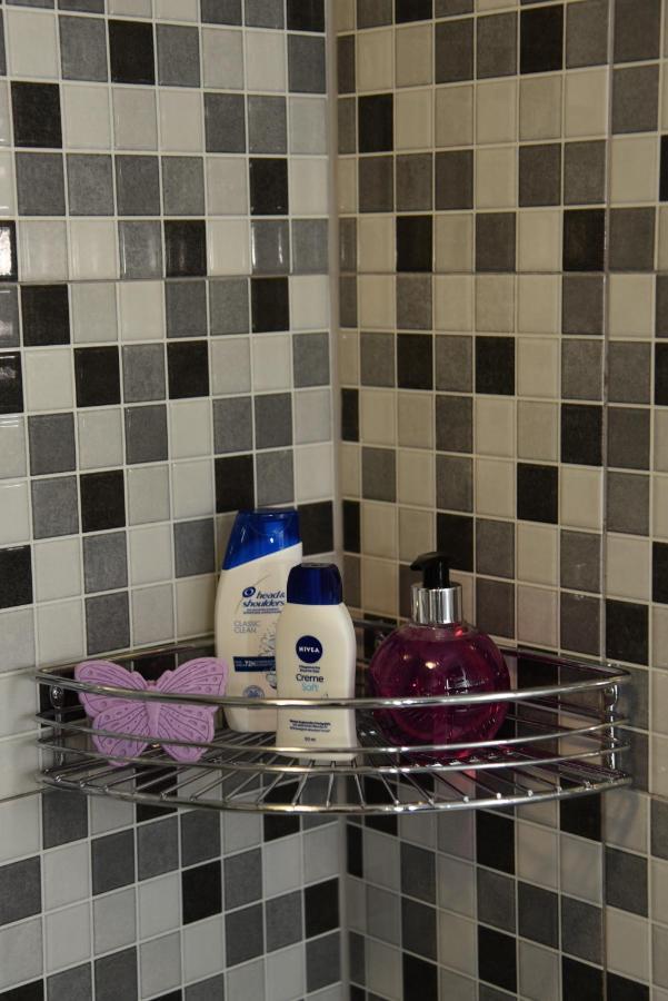 Apartman Elly Slavonski Brod Extérieur photo