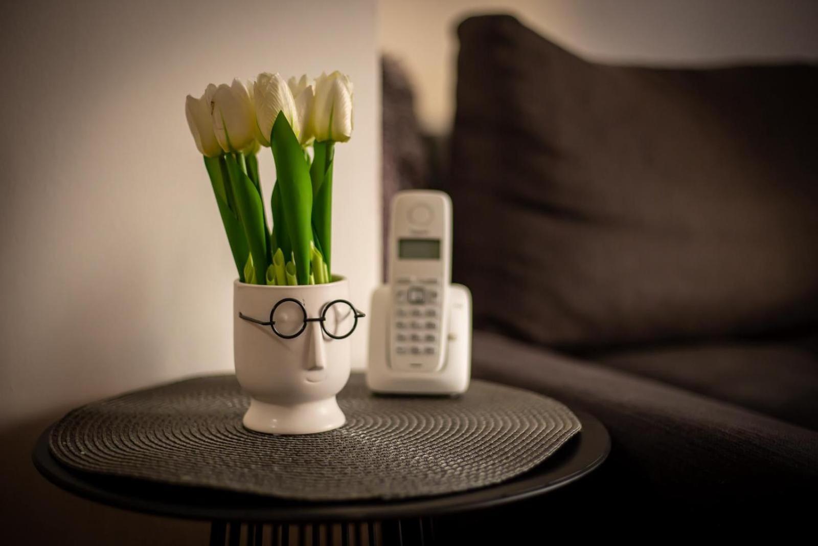 Apartman Elly Slavonski Brod Extérieur photo