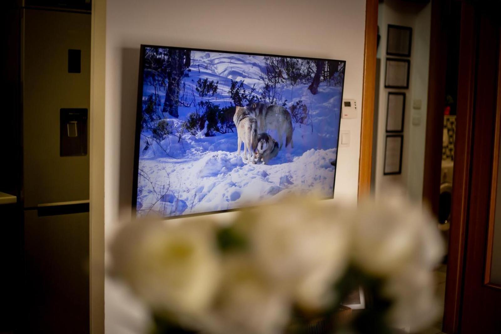Apartman Elly Slavonski Brod Extérieur photo